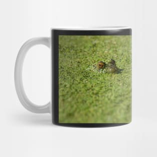 Duck Weed Eyes Mug